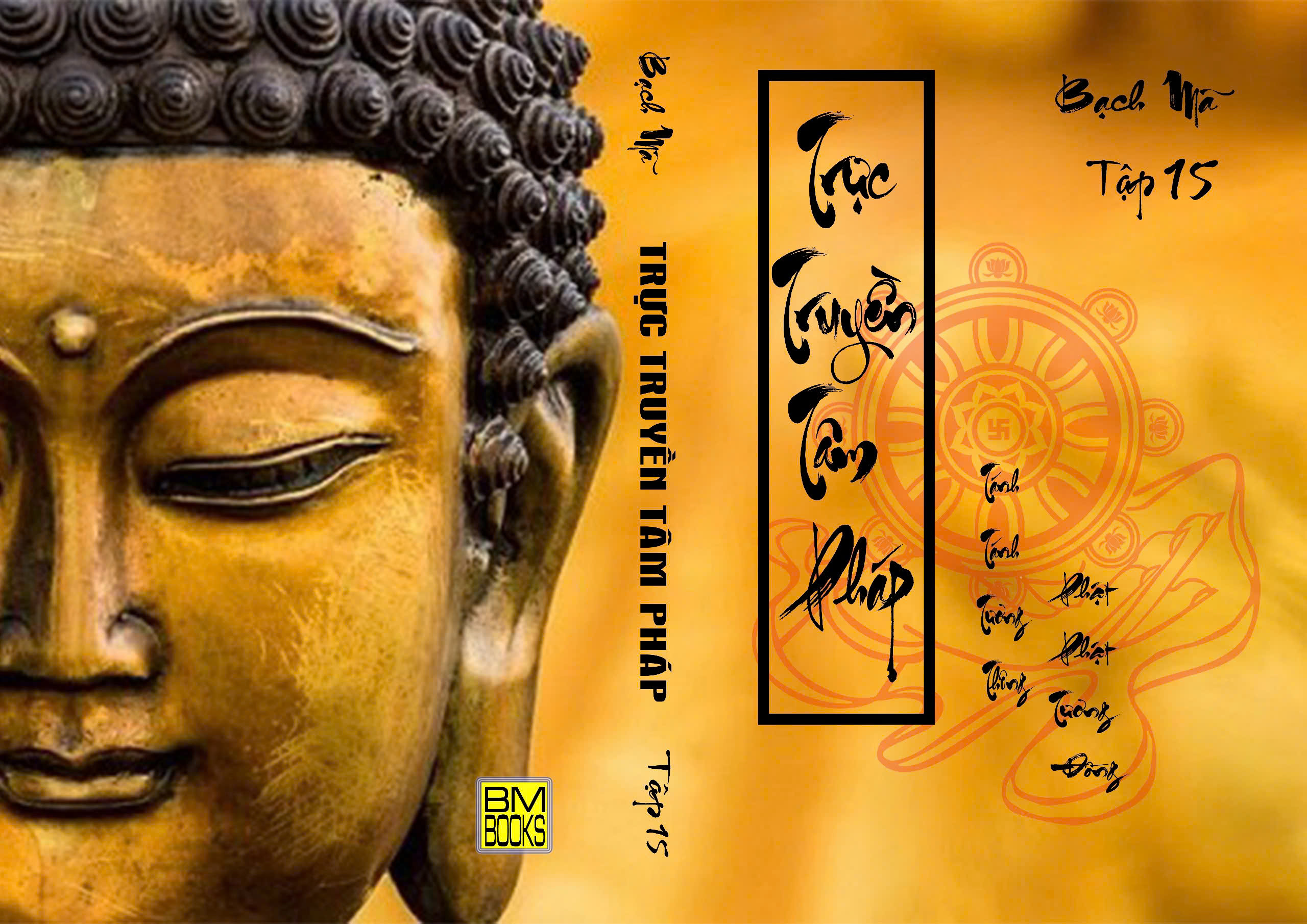 TRỰC TRUYỀN TÂM PHÁP, TẬP 15